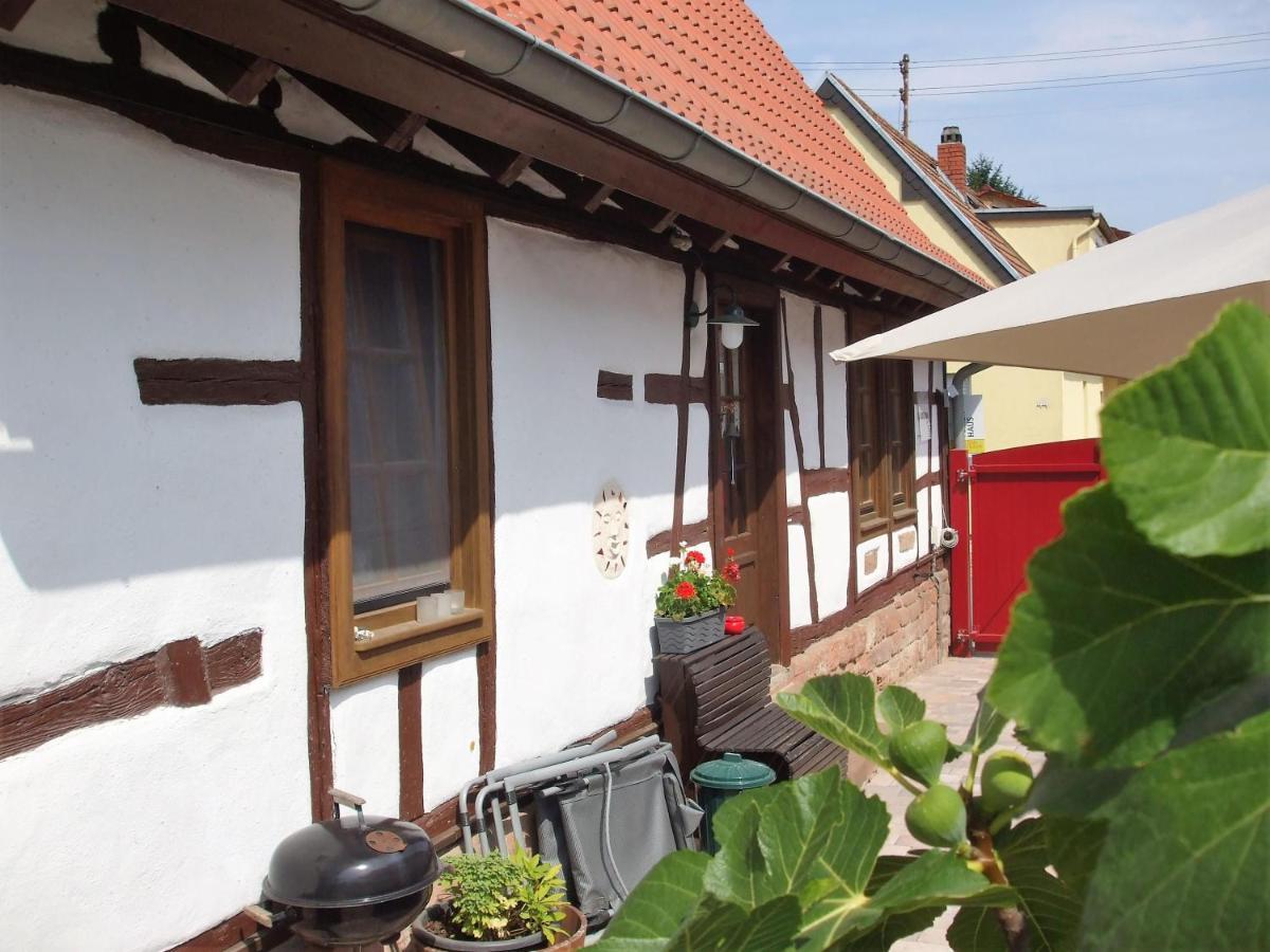 Ferienhaus Pfalzklause Billigheim-Ingenheim 外观 照片